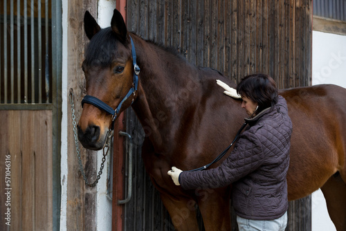 vet examines horse with stethoscope photo