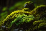 image, green moss in the forest, ai generative