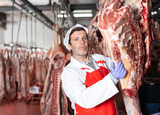 Professional adult butcher working in chilling room of meat processing factory, hanging raw beef carcasses on hooks for storage