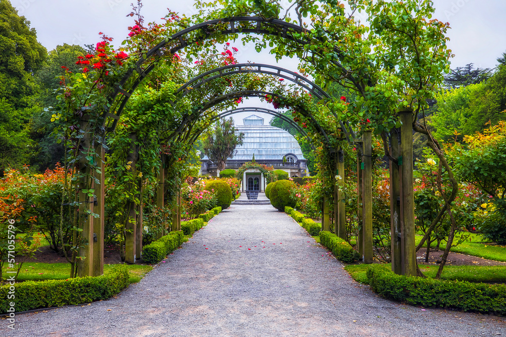 NZ Christchurch rose garden arch