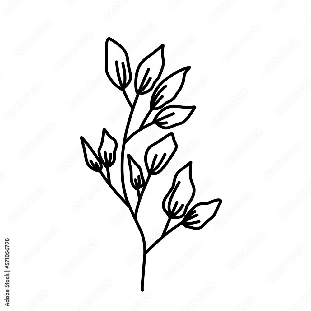 Plant Lineart