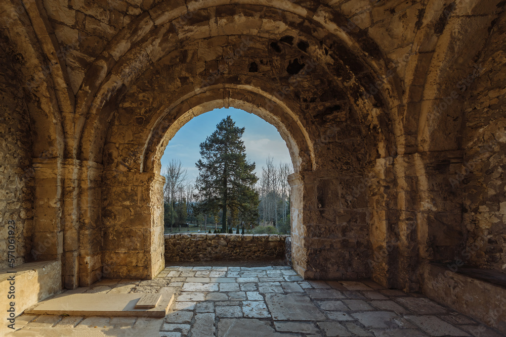Obraz premium Pine tree from arched corridor at Khobi Convent, Georgia