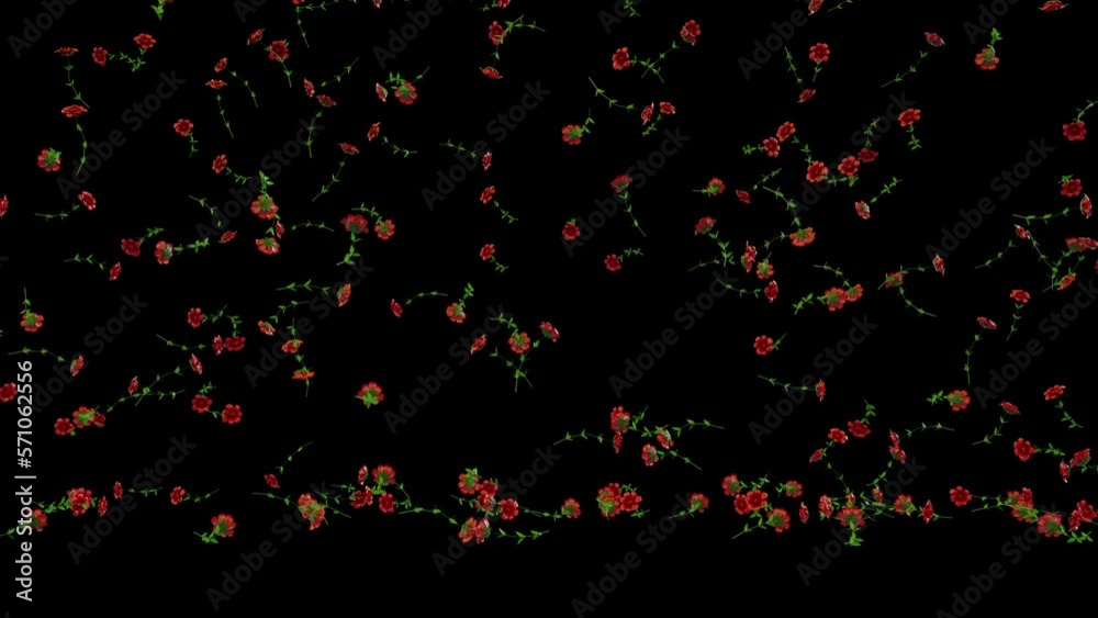 Roses Rain 3D Animation With Alpha Video Roses Rain 3D Animation With Alpha Video