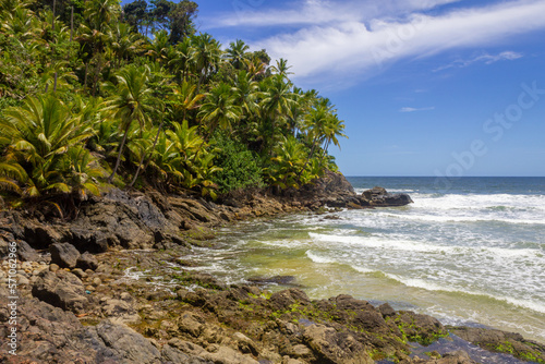 Trees and rocks at Havaizinho beach
