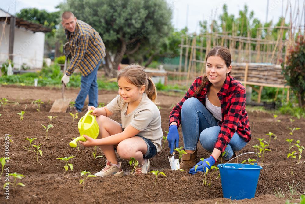 © JackF - Friendly family with little girl working together on backyard garden at warm day