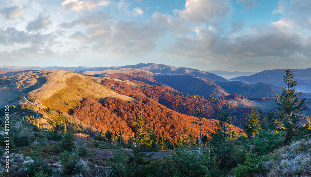 Sunrise in autumn Carpathian. Mountain top daybreak landscape with colorful trees on slope.