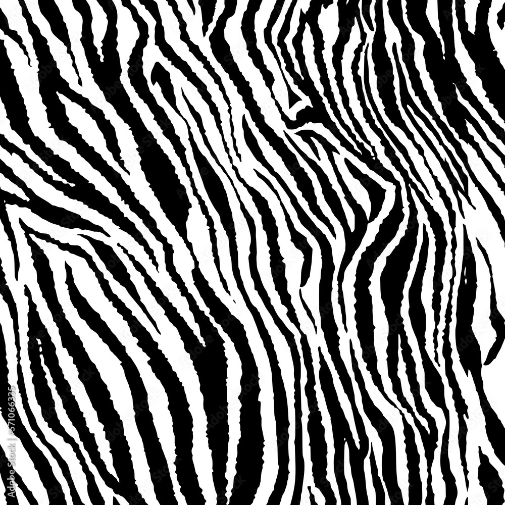 Illustration zebra texture, tiger texture, animal print.