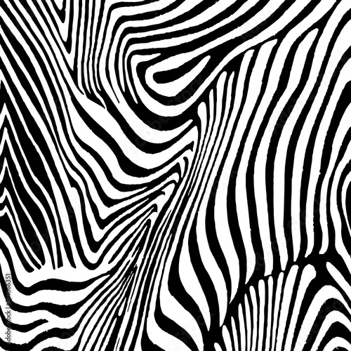 Illustration zebra texture  tiger texture  animal print.