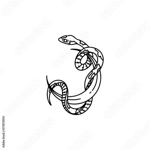 vector illustration of snake with moon concept