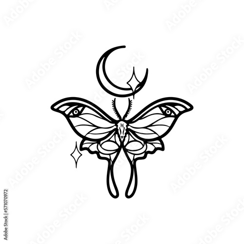 vector illustration of moth with moon concept