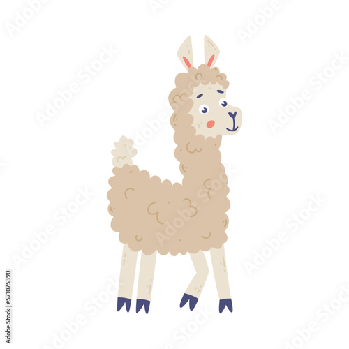 Adorable funny llama. Cute domesticated animal cartoon vector illustration