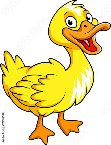 Cute duck cartoon on white background