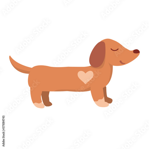 Cute dachshund dog design