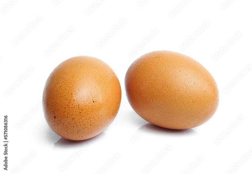 two chicken egg isolate on white background two chicken egg isolate on white background