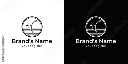 colibri vector logo design illustration, colibri logo in modern style.
