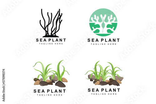 Seaweed Logo, Sea Plants Vector Design, Grocery And Nature Protection photo