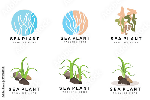 Seaweed Logo, Sea Plants Vector Design, Grocery And Nature Protection