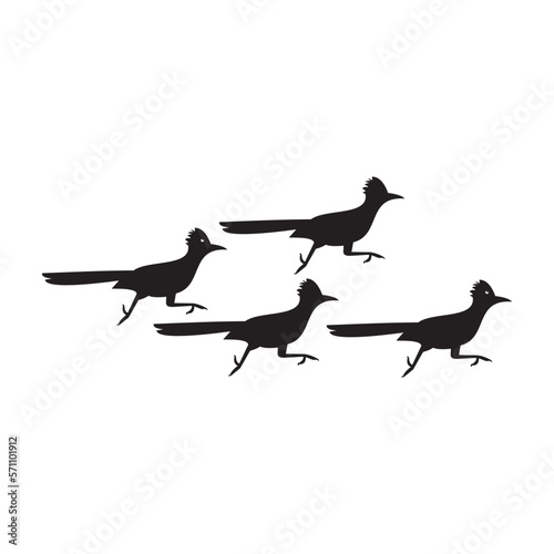 roadrunner bird logo icon vector photo