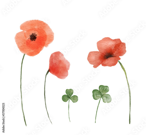 Set of watercolor illustrations of red poppy and clover wildflowers isolated on white background. Hand painted illustrations