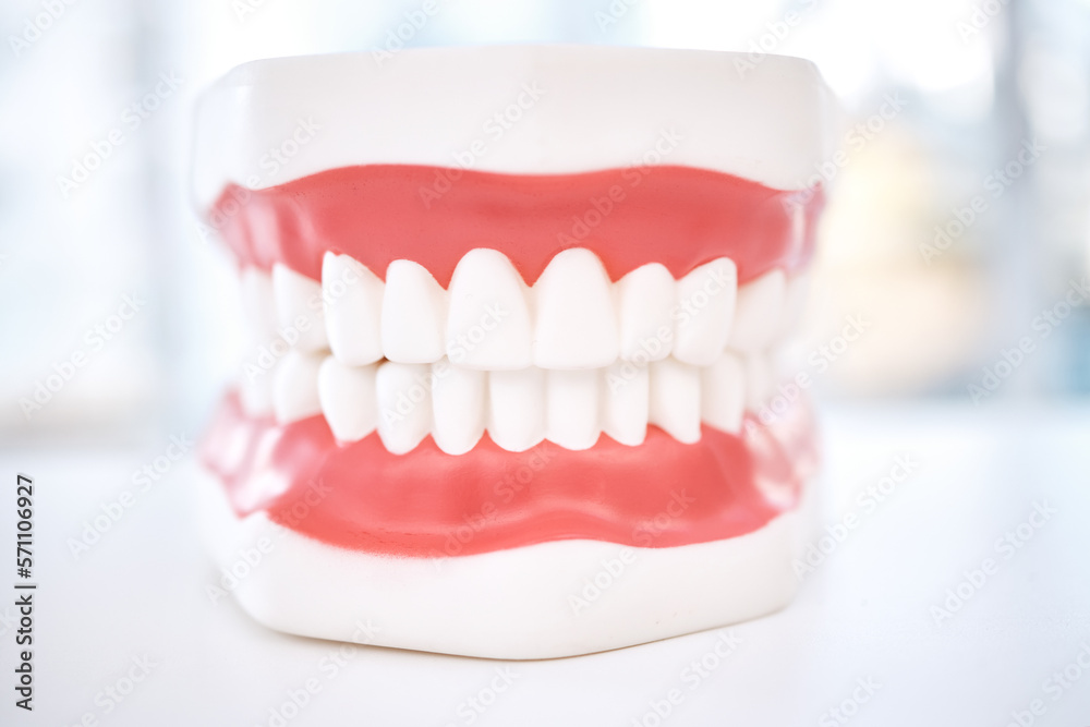 Obraz premium Dental, teeth model and orthodontics with healthcare and closeup, oral hygienist and health insurance. Veneers, dentistry equipment and healthy gums with fresh breath, medical and tooth care