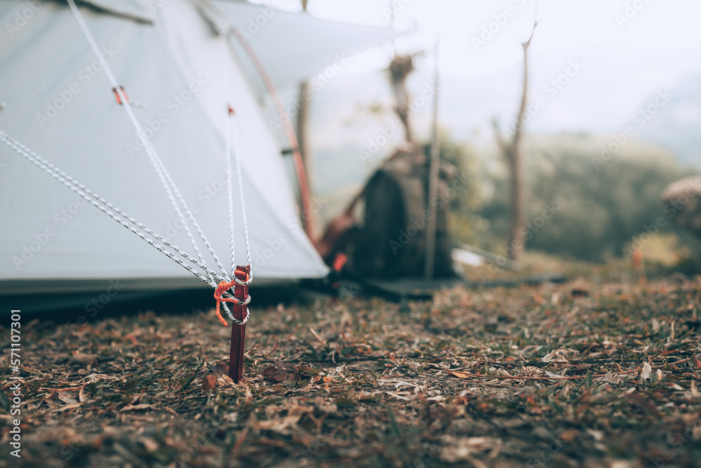 Naklejka premium Gray tent on the grass in the forest The view behind is the mountain in the morning. Camping, Travel and holiday concept.