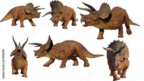 Set of dinosaurs Triceratops PNG