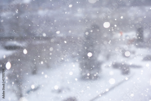 Blurred snow background. Winter landscape. Trees and plants covered with snow.