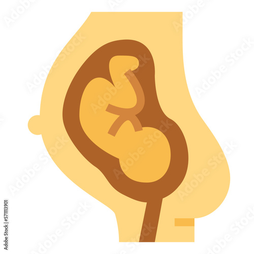 uterus flat icon style