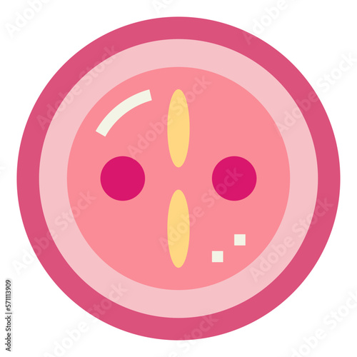 zygote flat icon style