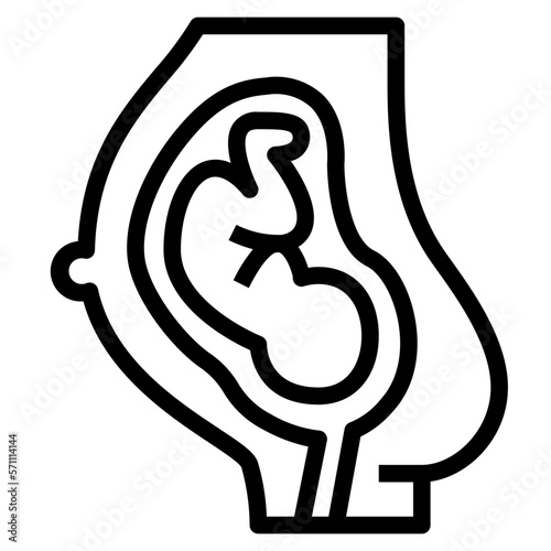 uterus line icon style