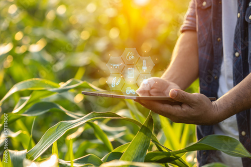 Farmer using digital tablet in corn crop cultivated field with smart farming interface icons and light flare sunset effect. Smart and new technology for agriculture business concept.