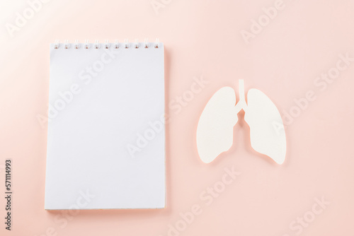 World Tuberculosis Day. Overhead lungs paper symbol, medical stethoscope and notebook paper on pastel pink background, lung cancer awareness, copy space concept of world TB day