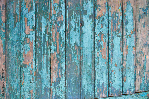 Natural wooden textured background.Old fence.Background for ceramic tiles design © Feoktistova
