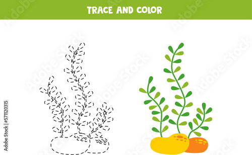 Trace and color cartoon cute sea weed. Worksheet for children.