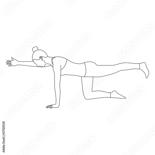 Line art of woman doing Yoga in Bird dog pose vector.