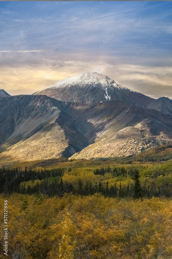 Naklejka premium Canada, Yukon, view of the tundra in autumn, with mountains in background, beautiful landscape in a wild country 