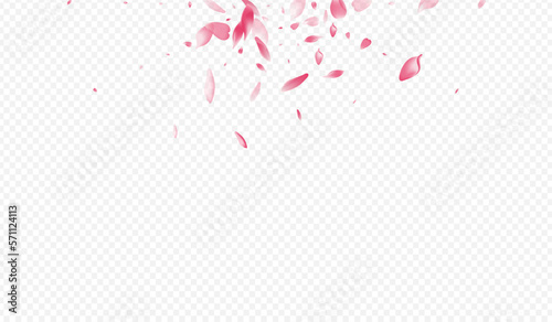 Light Floral Vector Transparent Background. Rose