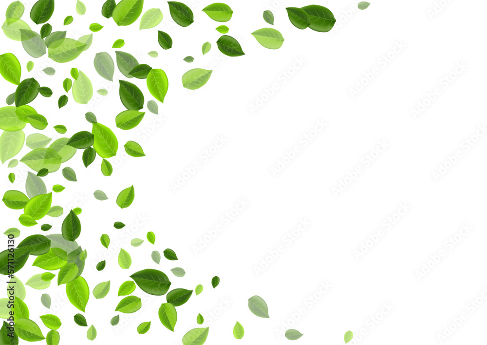 Forest Foliage Motion Vector Branch. Transparent Forest Foliage Motion Vector Branch. Transparent