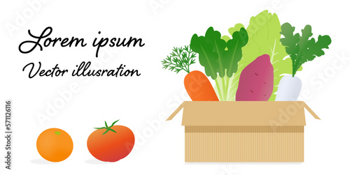 通信販売の段ボール箱に入った、グラデーションカラーがきれいな野菜のイラストセット