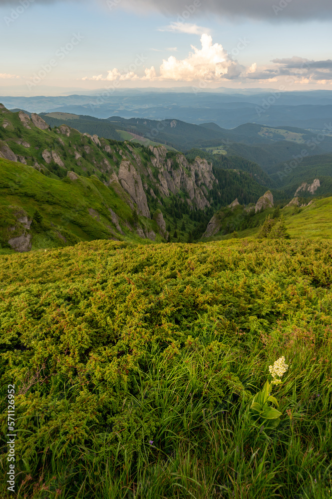 Green meadows with rocks in Romanian mountains in Muntii Ciucas
