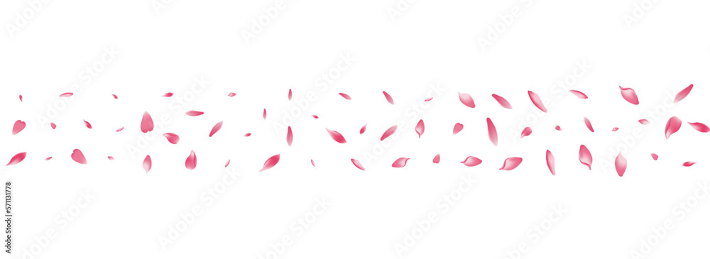 Transparent Flower Petal Vector White Background.