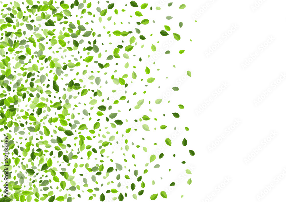 Olive Leaf Ecology Vector Illustration. Flying