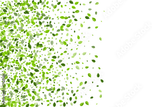 Olive Leaf Ecology Vector Illustration. Flying