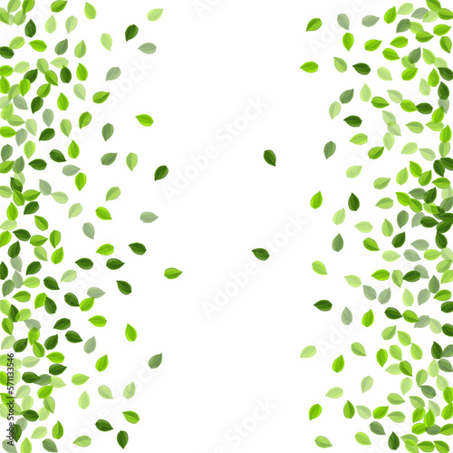 Swamp Leaf Fresh Vector Illustration. Fly Foliage