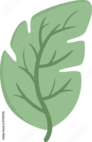 leaf and plant illustration