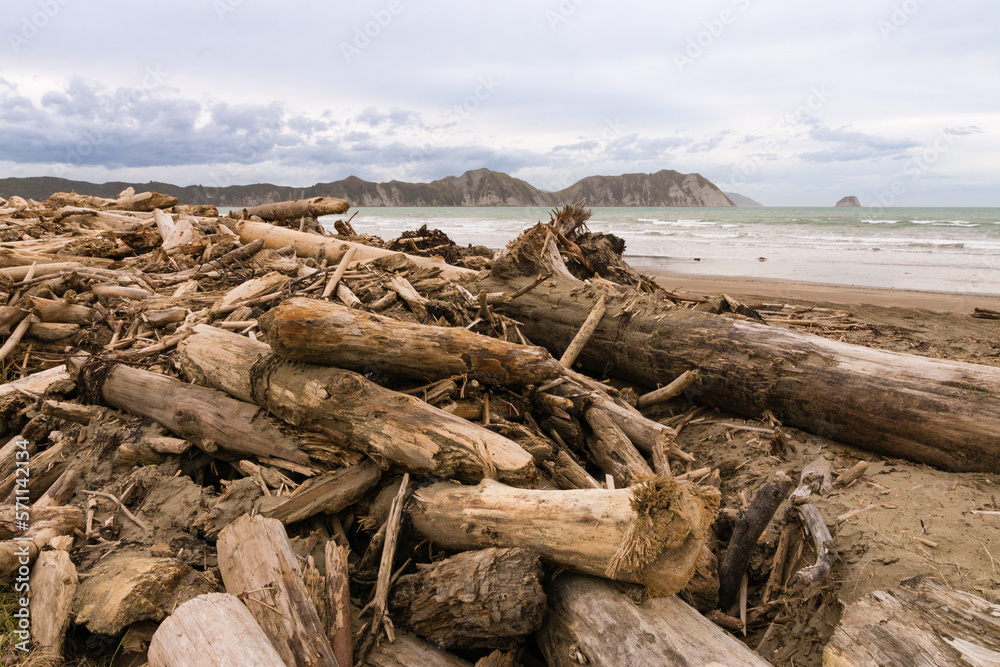 Forestry slash on Tolaga Bay beach, NZ following a storm that washed the slash off the surrounding hills and into the rivers that flow into the ocean.
Forestry slash on Tolaga Bay beach, NZ following a storm that washed the slash off the surrounding hills and into the rivers that flow into the ocean.