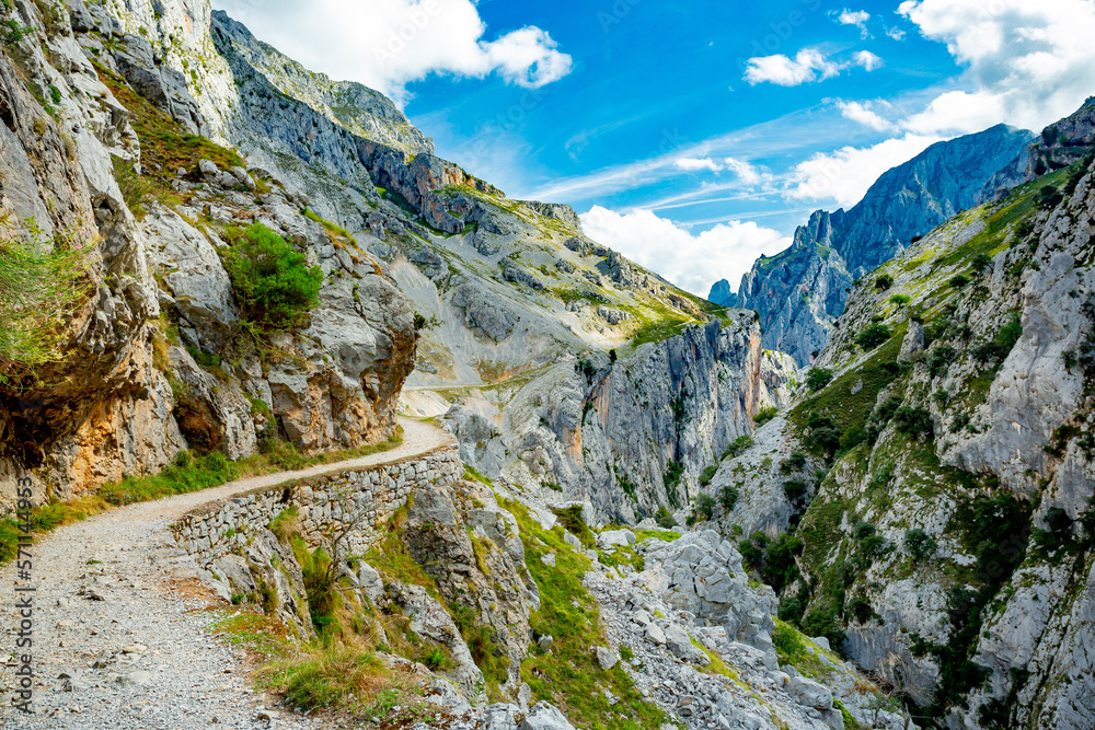 Fototapeta premium Ruta del Cares in Picos de Europa National Park, Spain