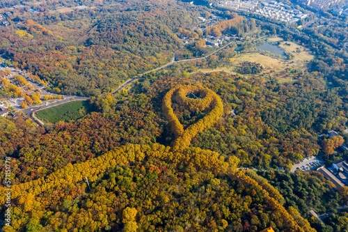 Aerial nanjing Ming tomb photo