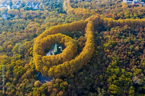 Aerial nanjing Ming tomb photo