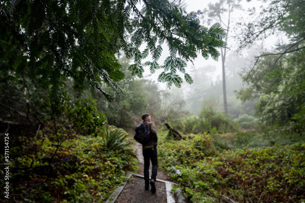 Man with backpack walks pathway through lush greenery in misty forest Man with backpack walks pathway through lush greenery in misty forest